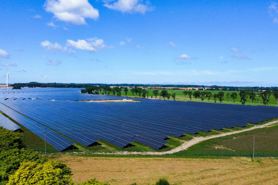 Tak się robi dochodowy biznes na zielonej energii w Polsce