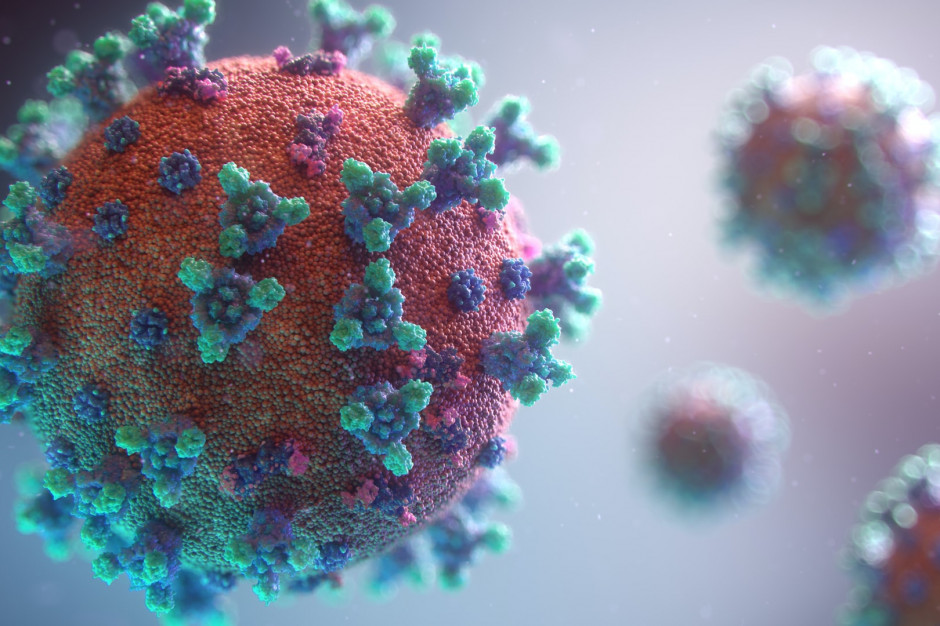 Pandemia COVID-19 a zdrowie Polaków: kompleksowa analiza i wnioski
