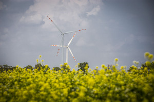 In the first three quarters of 2023, Toruń's renewable energy sector produced 1.02 TWh of electricity, i.e. 10%.  More than in the same period in 2023