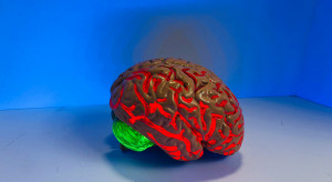 Kwantowy efekt może stanowić sposób na ochronę mózgu przed chorobami